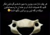 قیافه مهره ششم گردن ‬‎رو دیده بودید؟