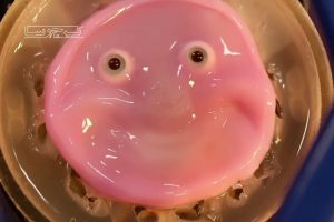 دانشمندان ژاپنی از پوست زنده انسان ربات خندان ساخته اند