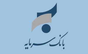 اختصاص اعتبار به حسابهای وکالتی بانک سرمایه در طرح ثبت نام خودرو