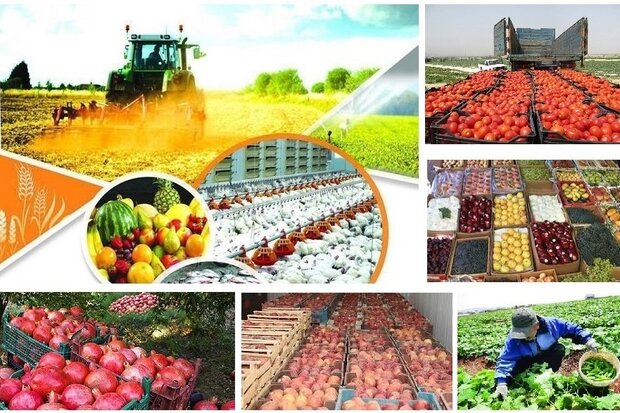 پروژه عظیم مگا فارم در هیئت سرمایه گذاری وزارت اقتصاد تصویب شد پروژه عظیم مگا فارم در هیئت سرمایه گذاری وزارت اقتصاد تصویب شد