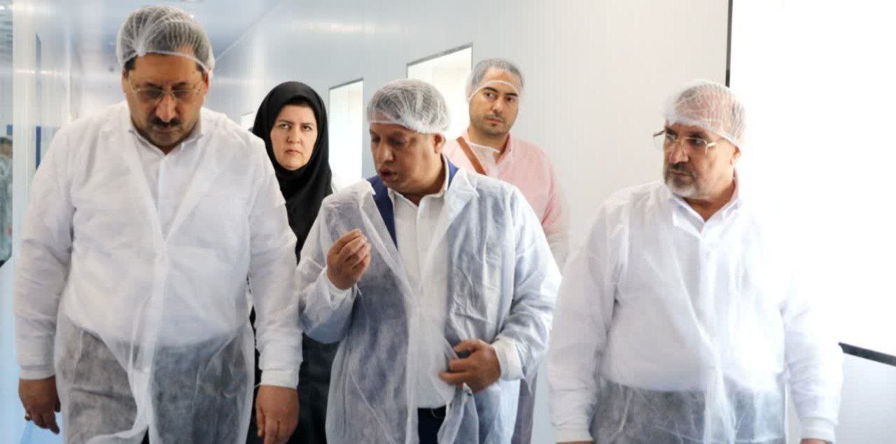 بازدید وزیر صمت از دو شرکت در شهرک صنعتی نظرآباد