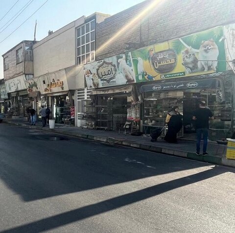 آغاز طرح جمع آوری پرنده فروشان و دست فروشان مواد غذایی در بلوار چمران آغاز طرح جمع آوری پرنده فروشان و دست فروشان مواد غذایی در بلوار چمران