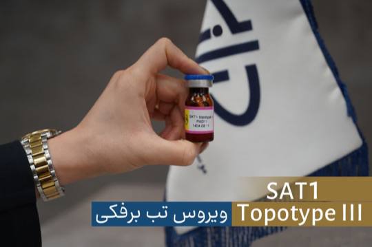 جداسازی ویروس تب برفکی SAT1 و تولید بذر واکسن آن در مؤسسه رازی